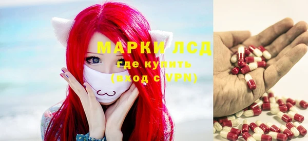 мяу мяу мука Елабуга