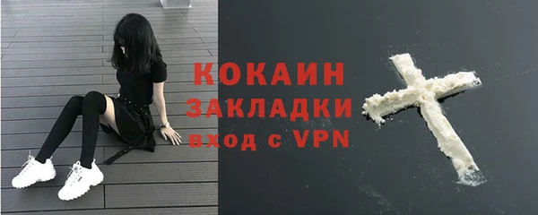 мяу мяу мука Елабуга