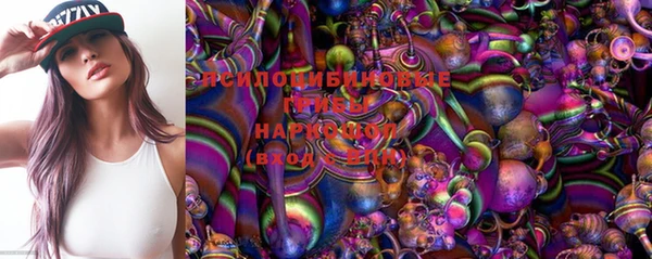 мяу мяу мука Елабуга